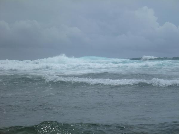 Alphonse2012-10-28_11h54cha037.jpg