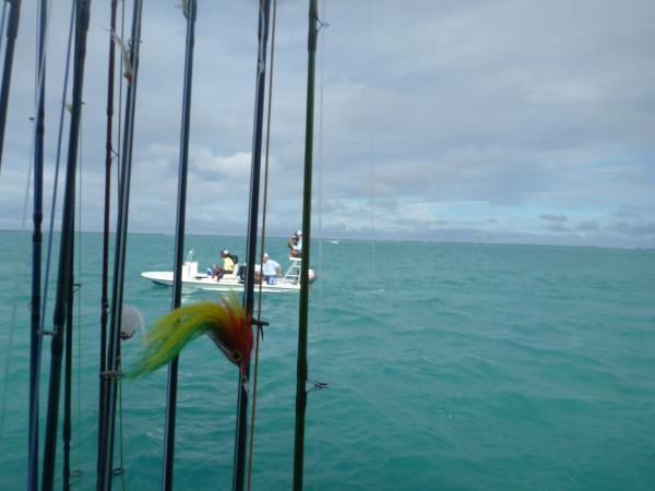 Alphonse2012-10-29_09h15cha063.jpg