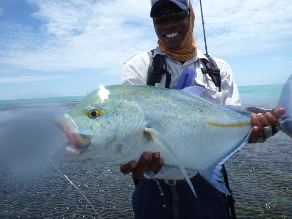 Alphonse2012-10-30_12h57cha088.jpg