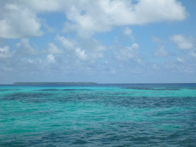 Alphonse2012-11-01_12h48cha436.jpg