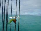 Alphonse2012-10-29_09h15cha063.jpg