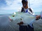 Alphonse2012-10-30_12h57cha088.jpg