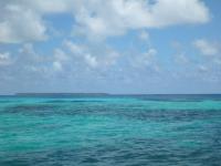 Alphonse2012-11-01_12h48cha436.jpg