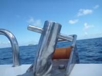 Alphonse2012-11-01_14h02cha455.jpg