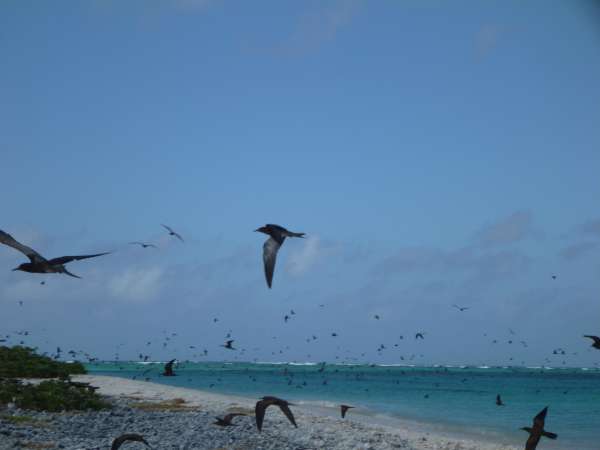 Farquhar2012-10-21_09h45cha104.jpg