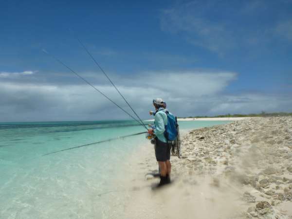 Farquhar2012-10-22_12h44cha163.jpg