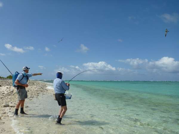 Farquhar2012-10-23_10h26cha183.jpg