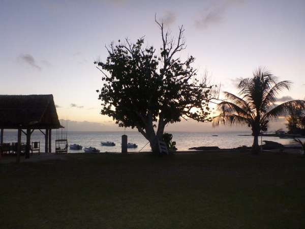 Farquhar2012-10-23_19h43cha279.jpg