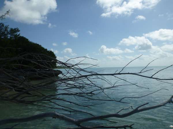 Farquhar2012-10-24_16h23cha392.jpg