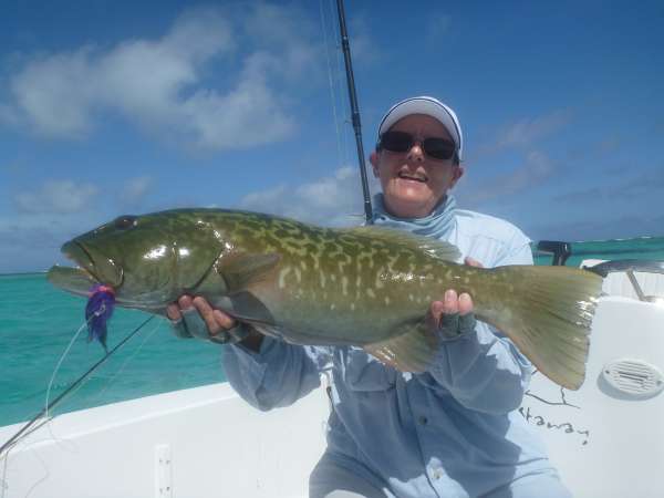 Farquhar2012-10-25_15h50cha493.jpg
