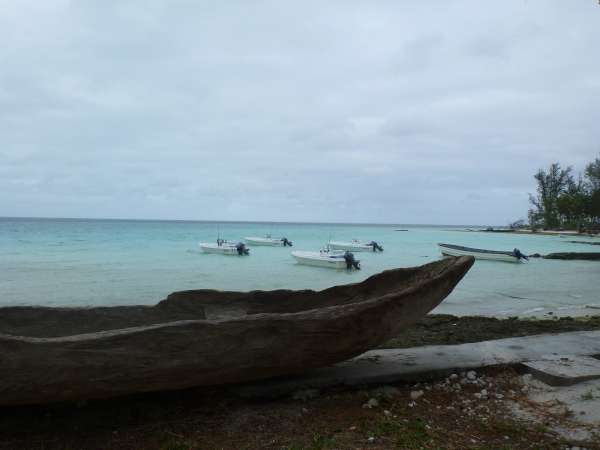 Farquhar2012-10-27_08h38cha566.jpg