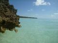Farquhar2012-10-24_15h47cha387.jpg