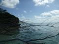 Farquhar2012-10-24_16h23cha392.jpg