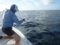 Farquhar2012-10-24_18h16cha402.jpg