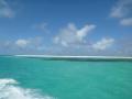 Farquhar2012-10-25_15h14cha488.jpg
