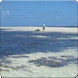 PHOTOS DE VADIM